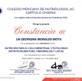 Ampliar imagen: certificate 6