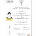 Ampliar imagen: certificate 1