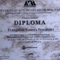 Ampliar imagen: certificate 3