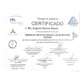 Ampliar imagen: certificate 10