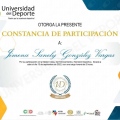 Ampliar imagen: certificate 5