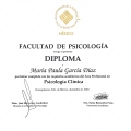 Ampliar imagen: certificate 5