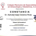 Ampliar imagen: certificate 4