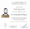 Ampliar imagen: certificate 3