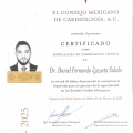 Ampliar imagen: certificate 1