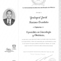 Ampliar imagen: certificate 5