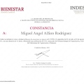 Ampliar imagen: certificate 19