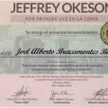 Ampliar imagen: certificate 7