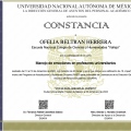 Ampliar imagen: certificate 11