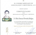 Ampliar imagen: certificate 3