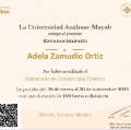 Ampliar imagen: certificate 1
