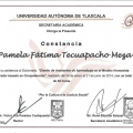 Ampliar imagen: certificate 7