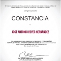 Ampliar imagen: certificate 9