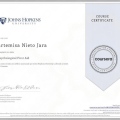 Ampliar imagen: certificate 6