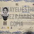 Ampliar imagen: certificate 12