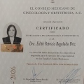 Ampliar imagen: certificate 3