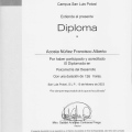 Ampliar imagen: certificate 7