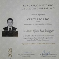 Ampliar imagen: certificate 5