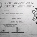 Ampliar imagen: certificate 3