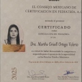 Ampliar imagen: certificate 11