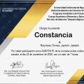 Ampliar imagen: certificate 4