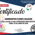 Ampliar imagen: certificate 7