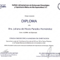 Ampliar imagen: certificate 4