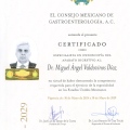 Ampliar imagen: certificate 2