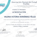 Ampliar imagen: certificate 3