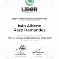 Ampliar imagen: certificate 2