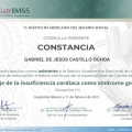 Ampliar imagen: certificate 20