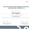 Ampliar imagen: certificate 5