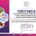 Ampliar imagen: certificate 2