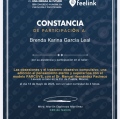 Ampliar imagen: certificate 2