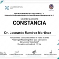 Ampliar imagen: certificate 13