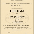 Ampliar imagen: certificate 4