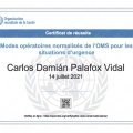 Ampliar imagen: certificate 2