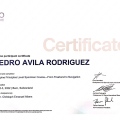 Ampliar imagen: certificate 6