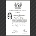 Ampliar imagen: certificate 1