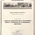 Ampliar imagen: certificate 5