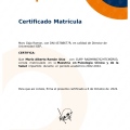 Ampliar imagen: certificate 1
