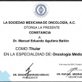 Ampliar imagen: certificate 2