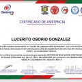 Ampliar imagen: certificate 33