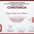 Ampliar imagen: certificate 14