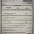 Ampliar imagen: certificate 3