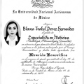 Ampliar imagen: certificate 3