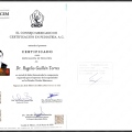 Ampliar imagen: certificate 6