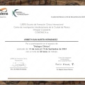 Ampliar imagen: certificate 5