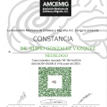 Ampliar imagen: certificate 2