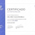 Ampliar imagen: certificate 9